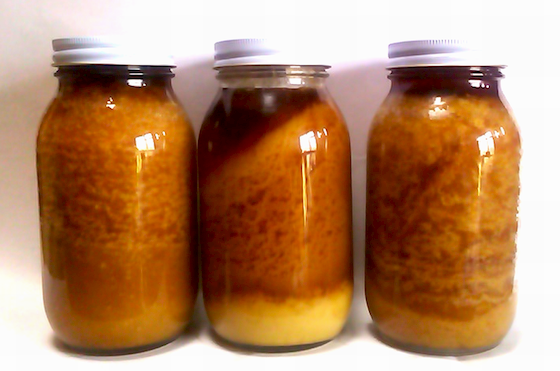 日本蜜蜂の熟成蜂蜜６００ｇ