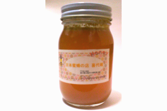 日本蜜蜂の蜂蜜(はちみつ)６００ｇ